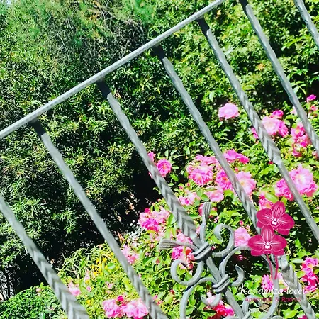 Residenza Locci - & Teulada