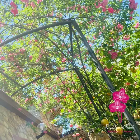 & - Residenza Locci