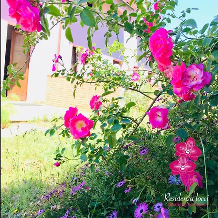 Apart-hotel Residenza Locci - &